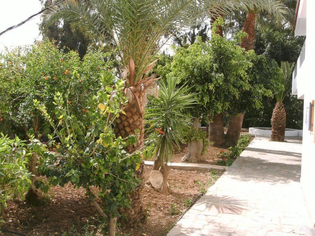 Ifigenia Apartments Hersonissos  Zewnętrze zdjęcie